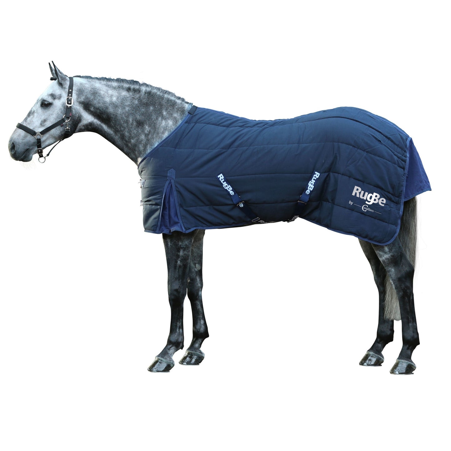 Stalldecke RugBe