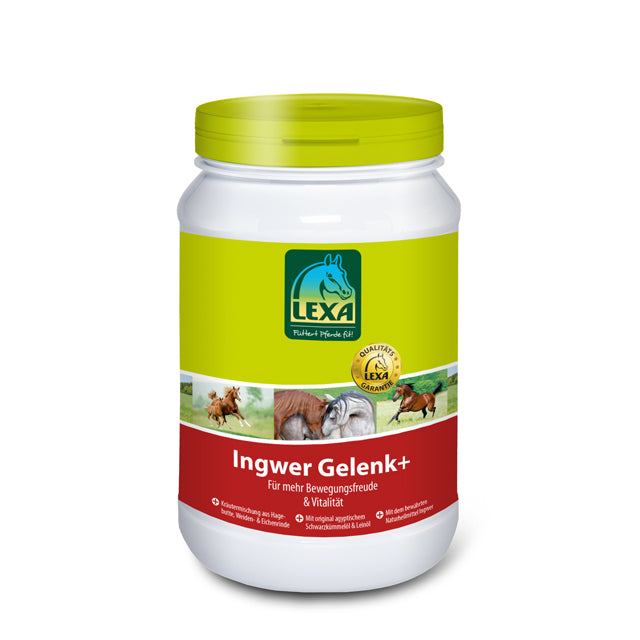Lexa Ingwer Gelenk +