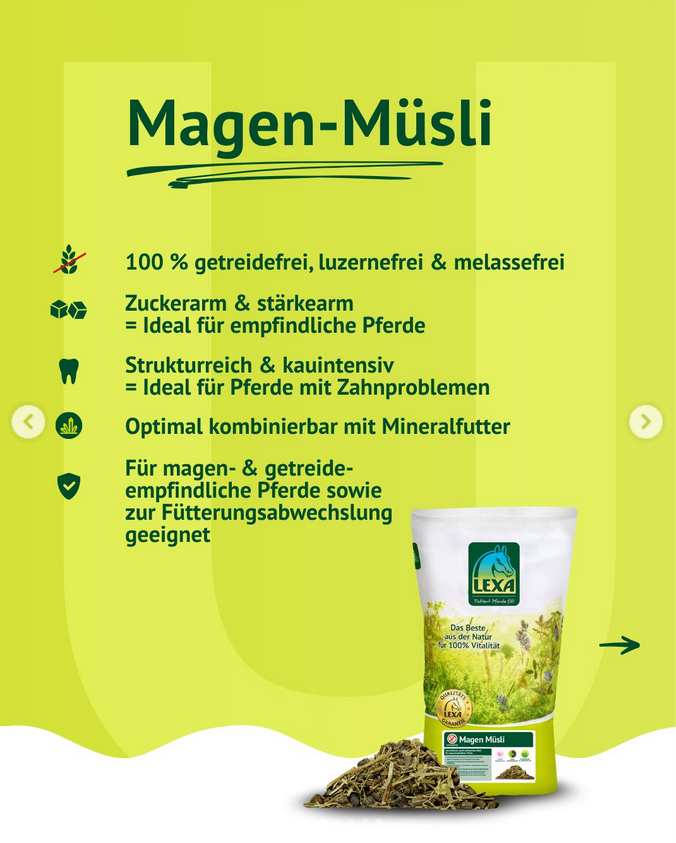 LEXA Magen Müsli – Getreidefrei & Luzernefrei für empfindliche Pferde