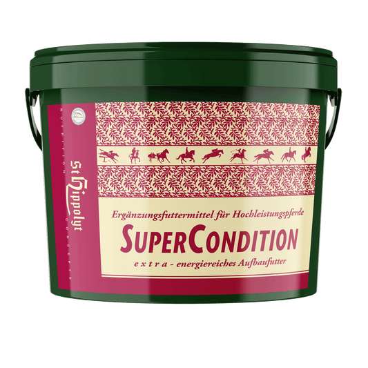 St.Hippolyt Super Condition